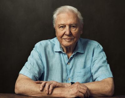 Happy birthday, David Attenborough! 99 ways he has inspired us, by Barack Obama, Billie Eilish, Morgan Freeman – and many more