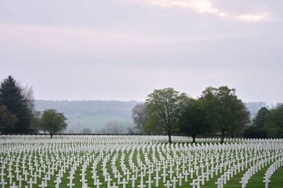 Europe will mark V-E Day's 80th anniversary as once-unbreakable bonds with the US are under pressure