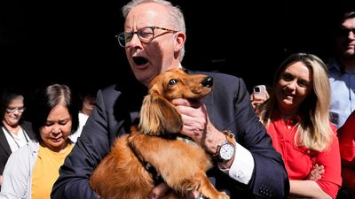 Anthony Albanese Admits Election Day ‘Crisis’ After Missing Out On Democracy Sausage