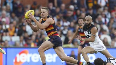 Adelaide coach Nicks hails his skipper's impact
