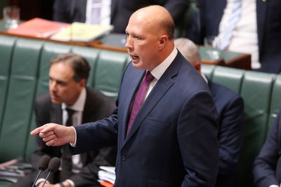 Australian conservative opposition leader loses seat in ‘Trump factor’ backlash