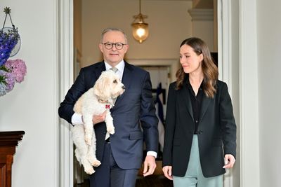 Anthony Albanese: Australia's Dog-loving, Tory Fighting PM