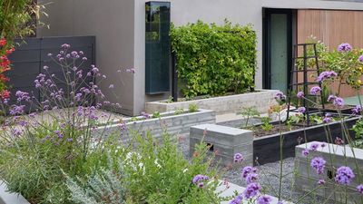 5 Outdated Garden Layouts You Should Avoid If You're Planning Your Outdoor Space Right Now