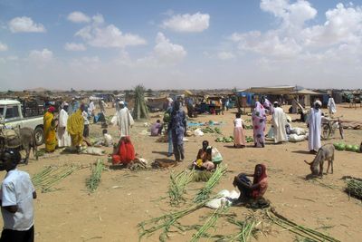 ‘The janjaweed are coming’: Sudanese recount atrocities in RSF attack on a Darfur camp