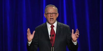 Albanese increases majority and Dutton loses seat in stunning election landslide