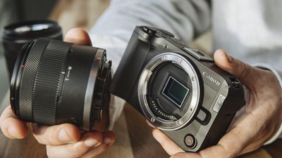 Did you know that Canon doesn't allow colored logos on its cameras?