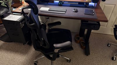 I tested the Sihoo Doro C300 Pro and it has one of the best features I've seen on an office chair - with one major flaw