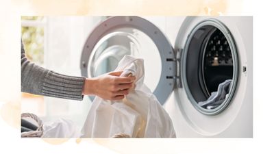 Why does my washing machine smell so bad? Cleaning experts explain the cause and cure to fix it