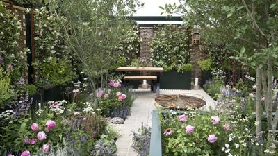 7 plants to prune in May – these shrubs and perennials will flower abundantly if trimmed this month