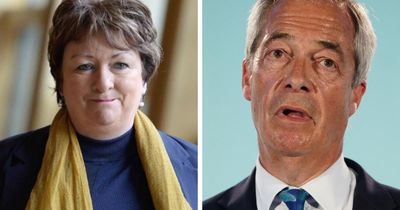 Scottish independence supporters must unite against Nigel Farage, says SNP MSP