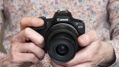I thought the Canon EOS R100 was a poor camera, but then my family used it for six months and now I’d recommend it to beginners in a heartbeat