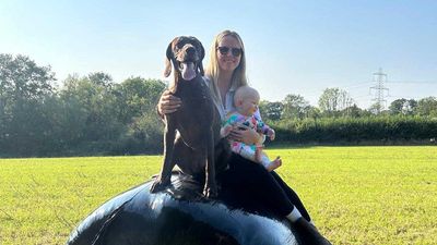 How I survived having a newborn with a high-energy dog