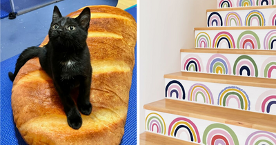 Forget Adulting, Let’s Play! 23 Fun Finds For The Young At Heart