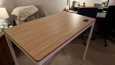 I tested the Branch Four Leg Standing Desk for 173 days and it has one of the best controllers I've ever used