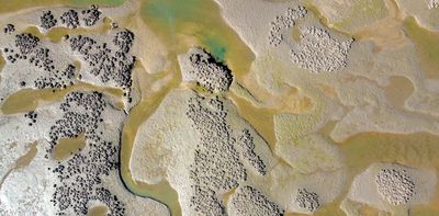 Newly discovered tropical oyster reefs are thriving across northern Australia – they deserve protection