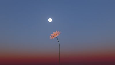 May's full 'Flower Moon' rises tonight as a micromoon. Here's what that means, and how to watch.