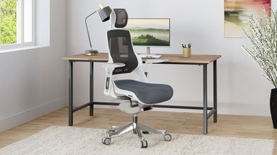 I’ve been sitting in this ergonomic office chair for six months — and it’s done wonders for my posture
