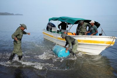 Few migrants remain in the Darien Gap, but an environmental crisis has been left behind