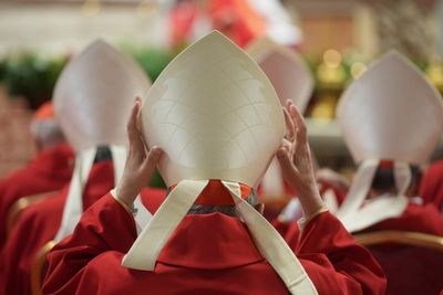 What's the geographic breakdown of the cardinals who will elect the new pope?