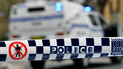 Two young boys found dead, woman arrested in small town