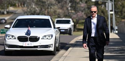 View from The Hill: a budding Trump-Albanese bromance?