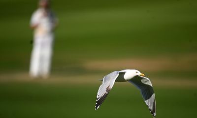 County cricket day four: Somerset beat Essex, Middlesex edge Kent and more – as it happened