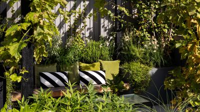 8 Garden Canopy Ideas to Create Shelter for Your Outside Space in Style