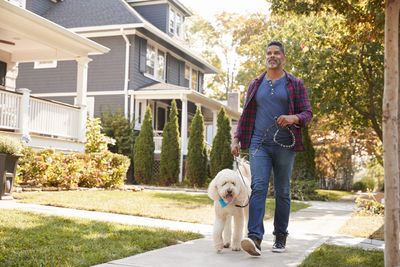 Why you should be walking after every meal, according to science