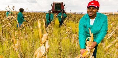 Investing in agriculture reduces poverty and inequality: economic model finds the best funding mix for 10 African countries