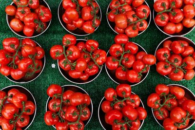 Tomatoes recalled over salmonella risk