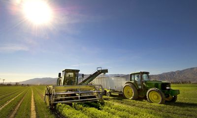How Did Farmers Respond When the Trump Administration Suddenly Stopped Paying Them to Help Feed Needy Californians?
