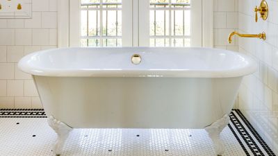 'The hands-down winner' – cleaning experts settle the timeless debate: toilet roll facing in or out? Spoiler: one way is more hygienic