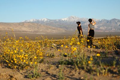 Trump wants states to take over control of National Park system as he proposed $1 billion cut to its budget