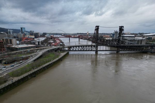 Seven bodies have been pulled from Portland river in the past two weeks. Police say it’s normal