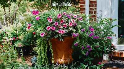 How to fill the bottom of a large planter – these materials will save you money and a lot of effort when creating container displays