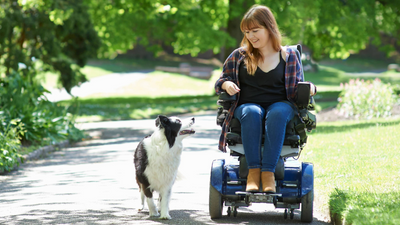 Pet care products aren’t accessible enough – here’s what needs to change, according to pet parents living with mobility challenges