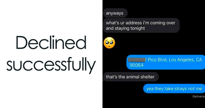 63 Hilariously Random Memes About Anything And Everything (New Pics)