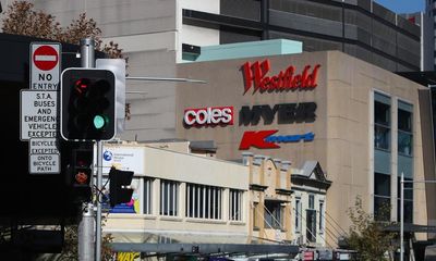 Bondi Junction killer missed out on mental health care because police lacked resources and were ‘overwhelmed’