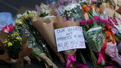 Police Call For Mental Health Reform As Bondi Stabbing Inquest Continues