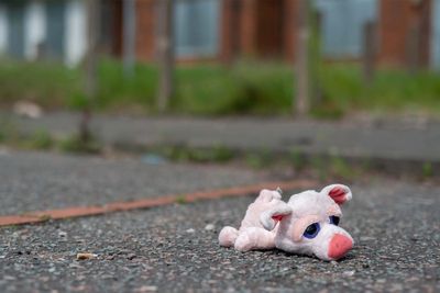 Inequality killing on a ‘grand scale’ globally, experts warn