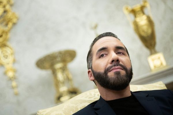 Does Nayib Bukele’s campaign against democracy give a blueprint for Trump?
