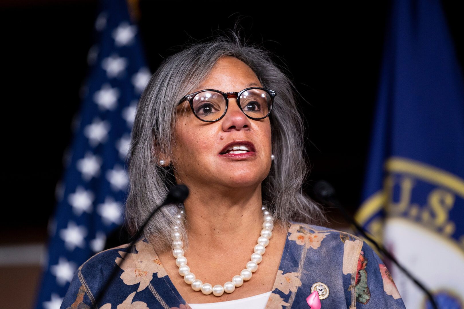 Robin Kelly Rep. Robin Kelly is running for Senate in Illinois
