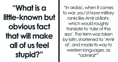 32 Random Facts That Seem Too Weird To Be True, Yet They Are, According To Folks Online