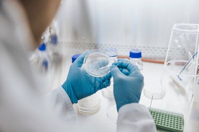 Warning over killer fungus which could infect millions as it spreads across Europe