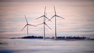 Europeans want homegrown renewable energy over fossil fuels from Trump or Putin, poll confirms