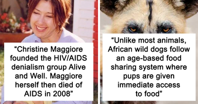 “Today I Learned”: 39 Lesser-Known Facts About The World That Should Be Common Knowledge (New Pics)