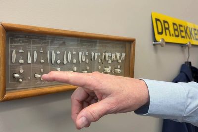 Worried dentists are preparing patients for RFK Jr’s fluoride tap water ban