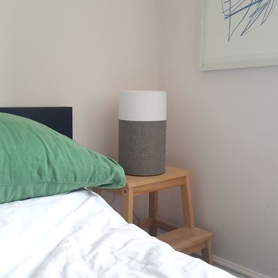 Should you buy an air purifier or a humidifier? Experts debunk which option is best for allergies and a good night’s sleep
