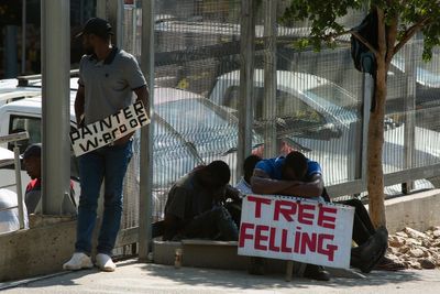 South African party launches legal challenge against new diversity and equity labor law