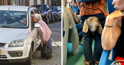Instagram Account With Over 574 Thousand Followers Features Amusing Street Photos (29 New Pics)